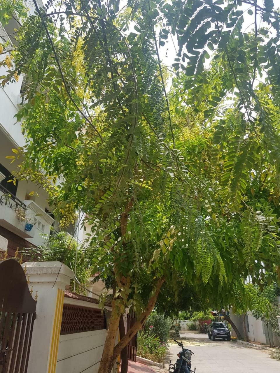 Royal Palace Guest House Chennai Bagian luar foto